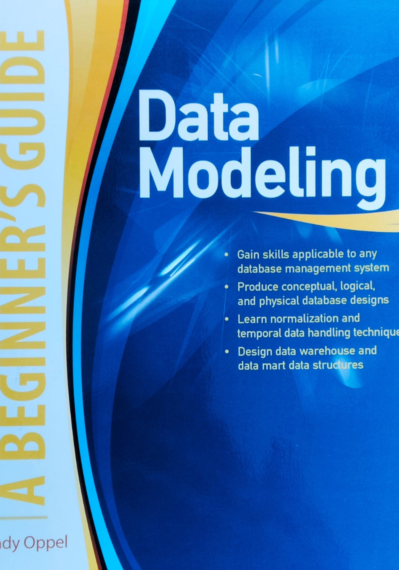 Data Modeling : A Beginner's Guide