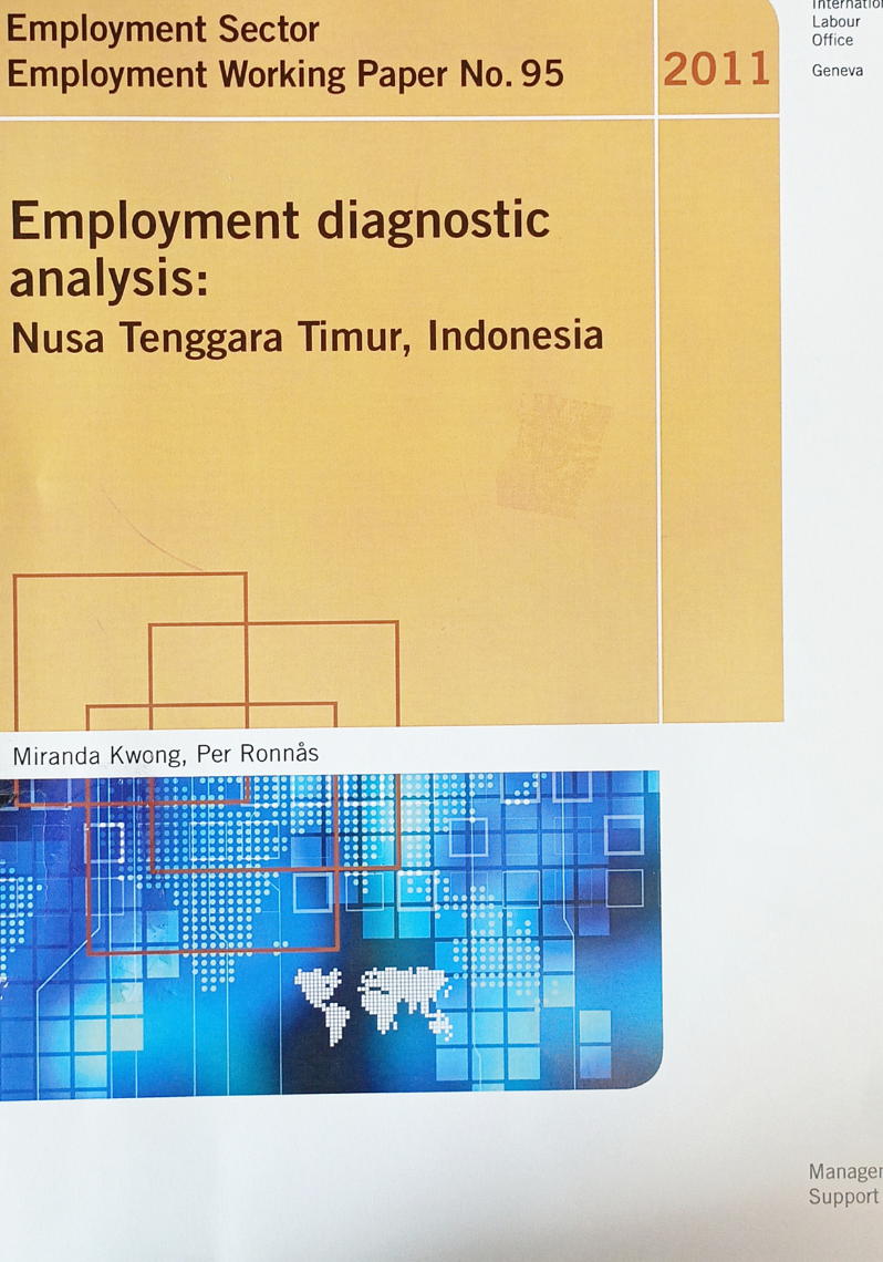 Employment Diagnostic Analysis: Nusa Tenggara Timur, Indonesia