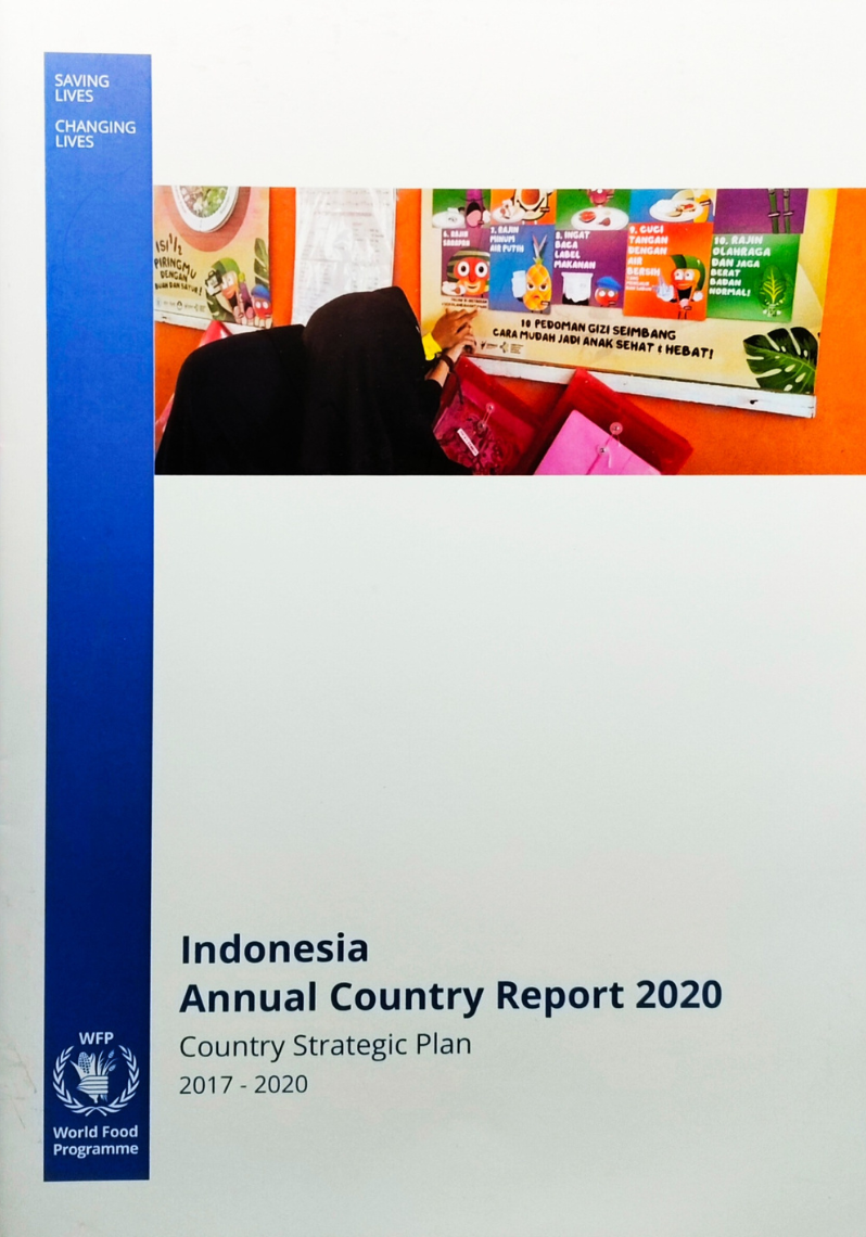 Indonesia Annual Country Report 2020